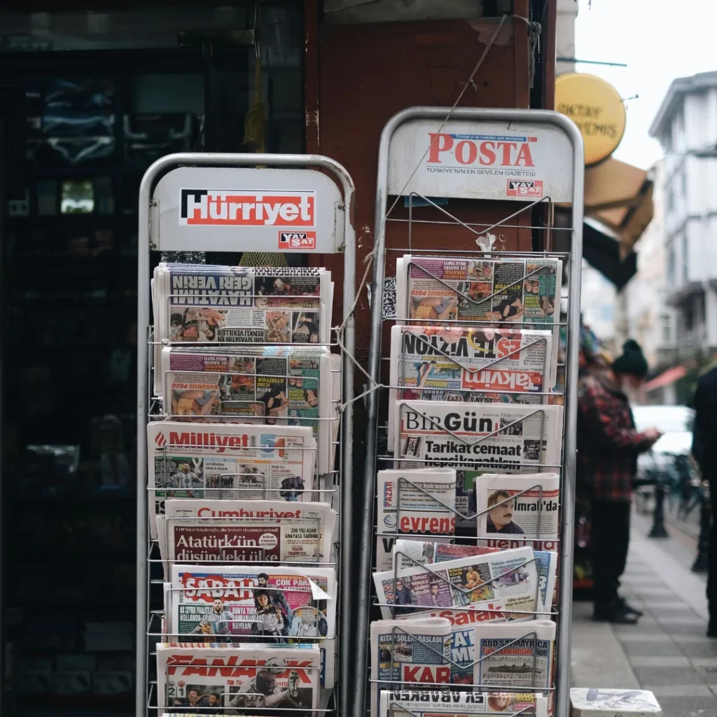 what you will find in the libraries we recommend newspaper and magazine